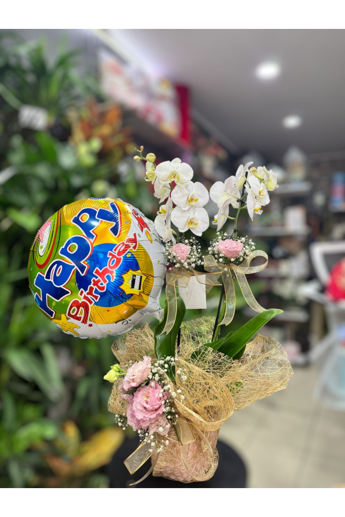 Doğum Günü Balonlu Orkide Aranjmanı