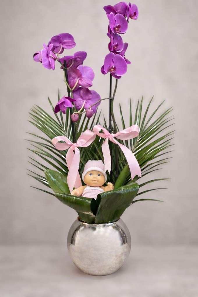 Zarif Mor Orkide & Bebek Figürlü Özel Tasarım