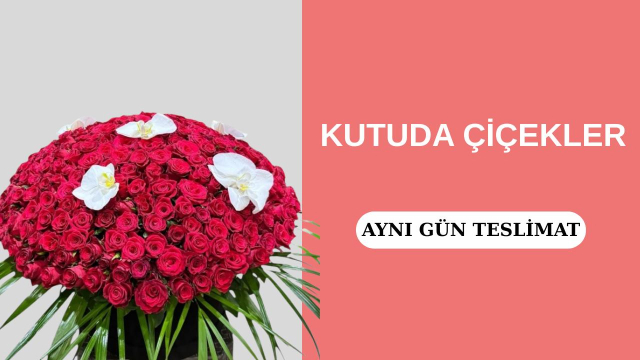 Kutuda Çiçekler
