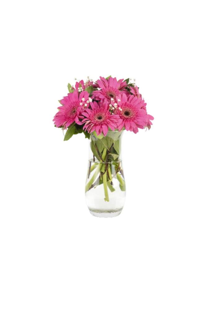 7 Adet Cam Vazoda Gelbera