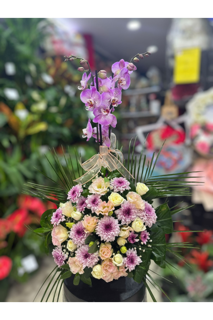 Mor Orkide Aranjmanı