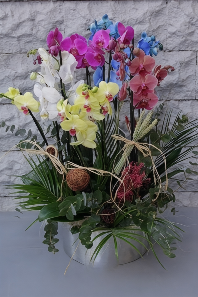 Karışık Renkli 5’li Orkide Aranjmanı 