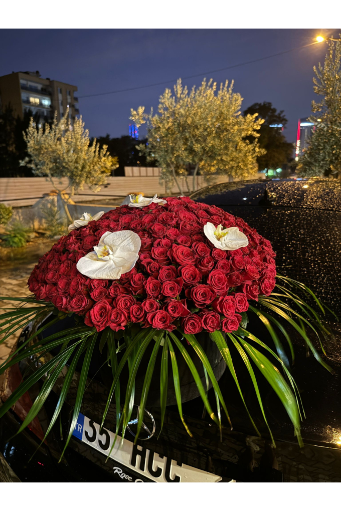 250 ADET VİP KUTUDA GÜL 250 ADET VİP KUTUDA GÜL