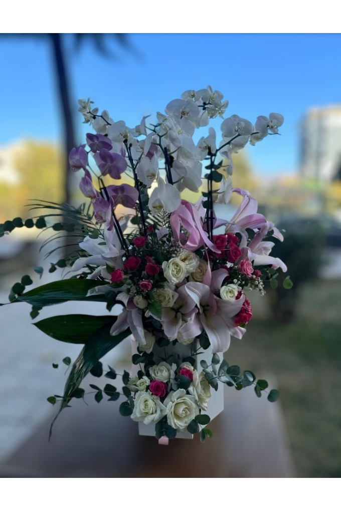 6 Dal Orkide Aranjmanı