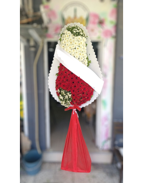 Açılış,Düğün Model