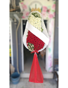 Açılış,Düğün Model