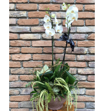 Butik Orkide Tasarım