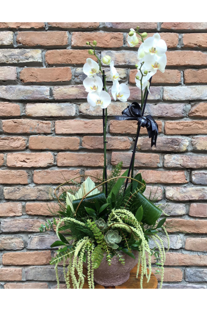 Butik Orkide Tasarım