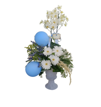 Erkek Bebek Orkide Aranjmanı