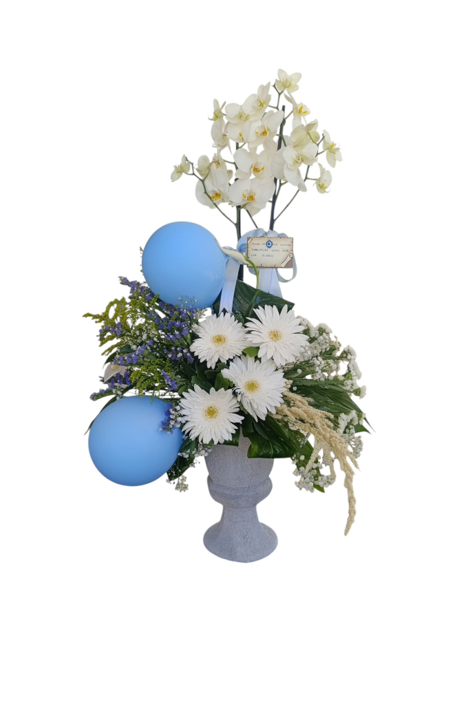 Erkek Bebek Orkide Aranjmanı