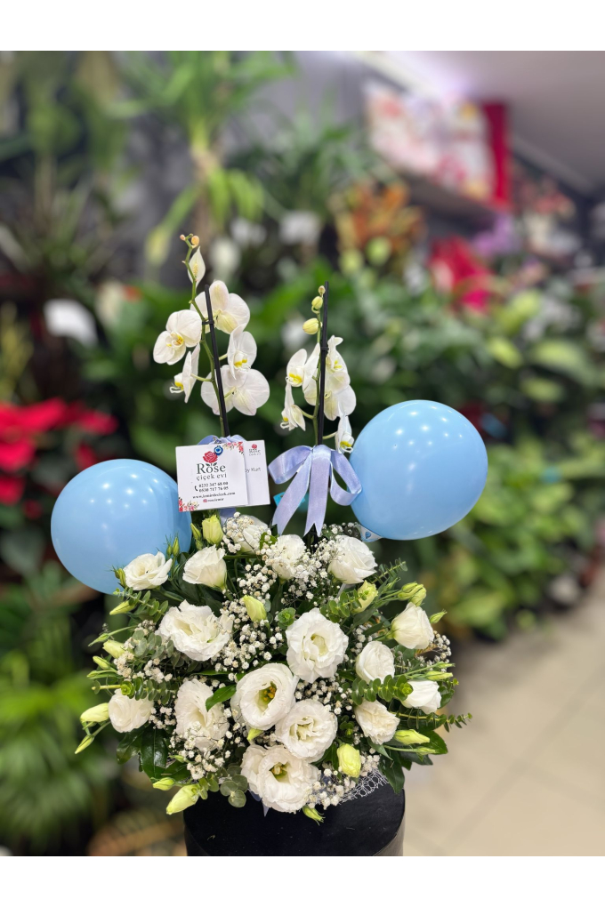 Hoşgeldin Erkek Bebek Orkide Aranjmanı Hoşgeldin Erkek Bebek Orkide Aranjmanı