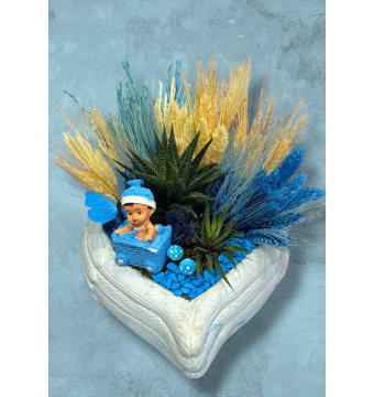 Hoşgeldin Erkek Bebek Teraryumu