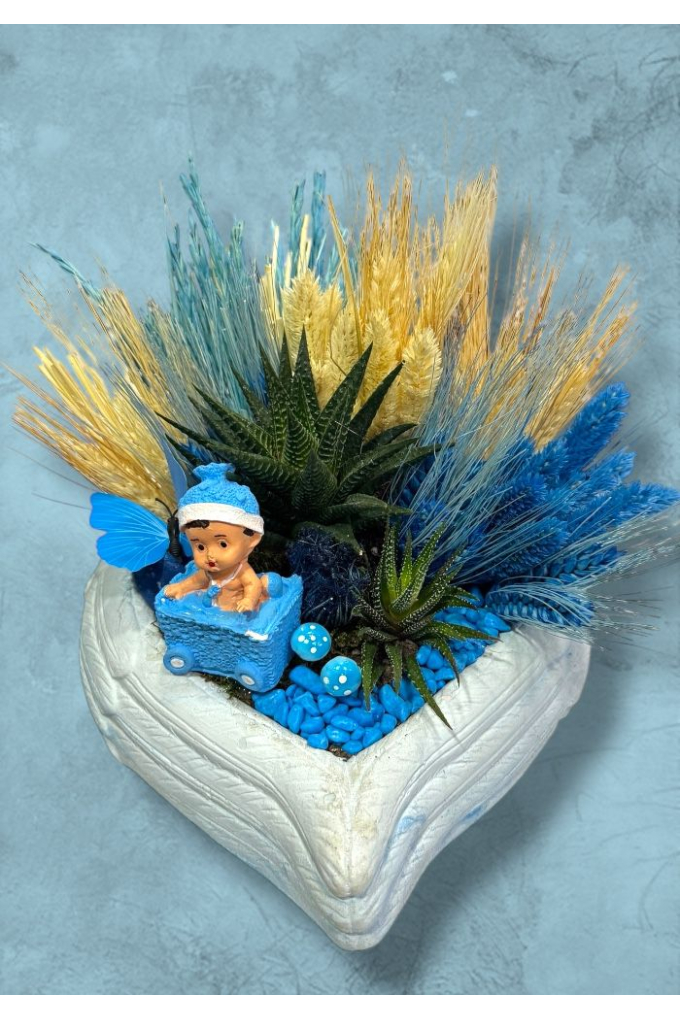 Hoşgeldin Erkek Bebek Teraryumu Hoşgeldin Erkek Bebek Teraryumu