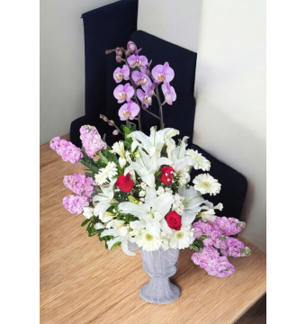 Hoşgeldin Kız Bebek Orkide Aranjman