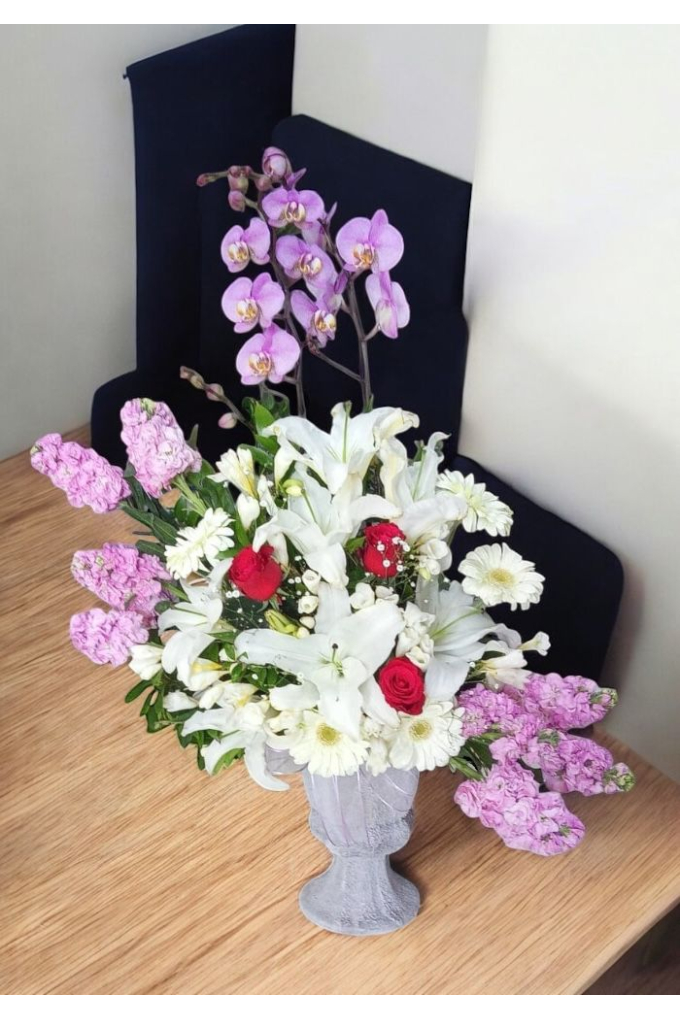 Hoşgeldin Kız Bebek Orkide Aranjman Hoşgeldin Kız Bebek Orkide Aranjman