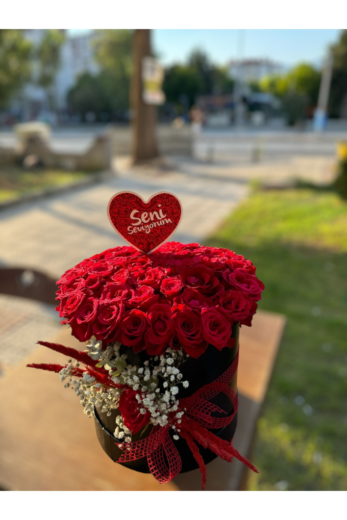 Kutu İçerisinde Gül