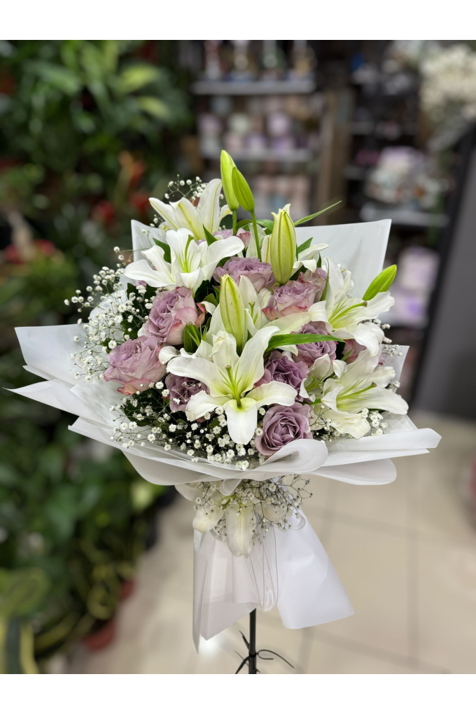 Lila Gül Kazablanka Lila Gül Kazablanka