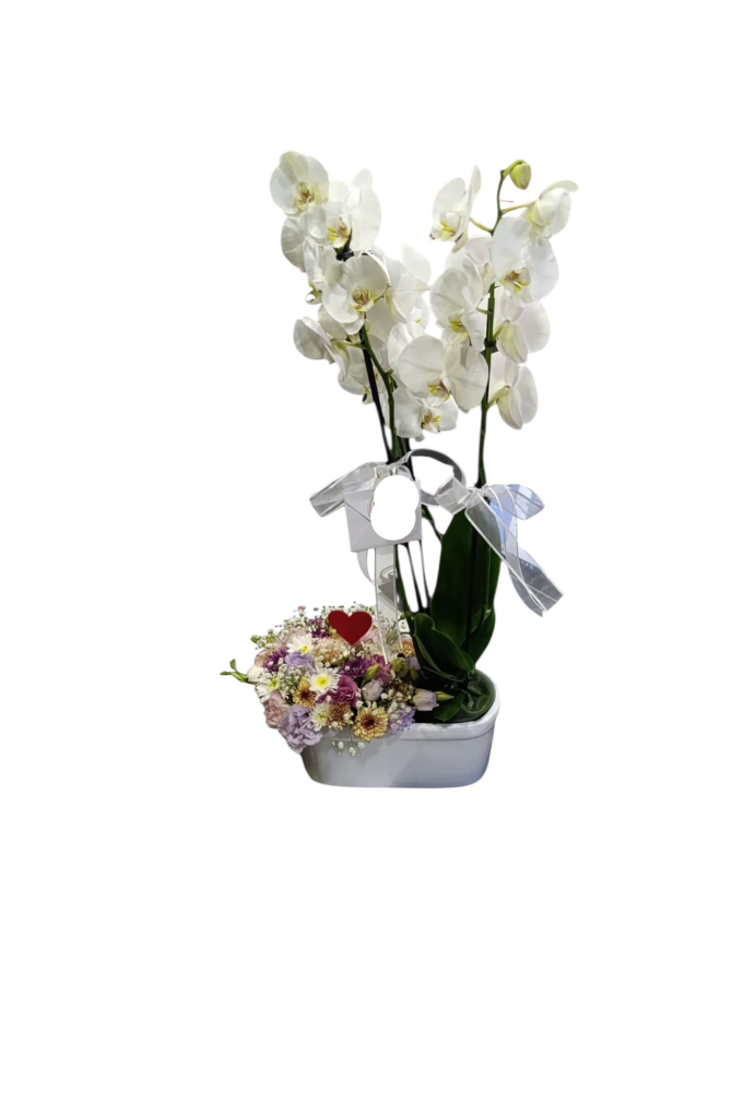 Orkideli Aranjman