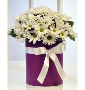 Silindir Kutuda Beyaz Papatyalar