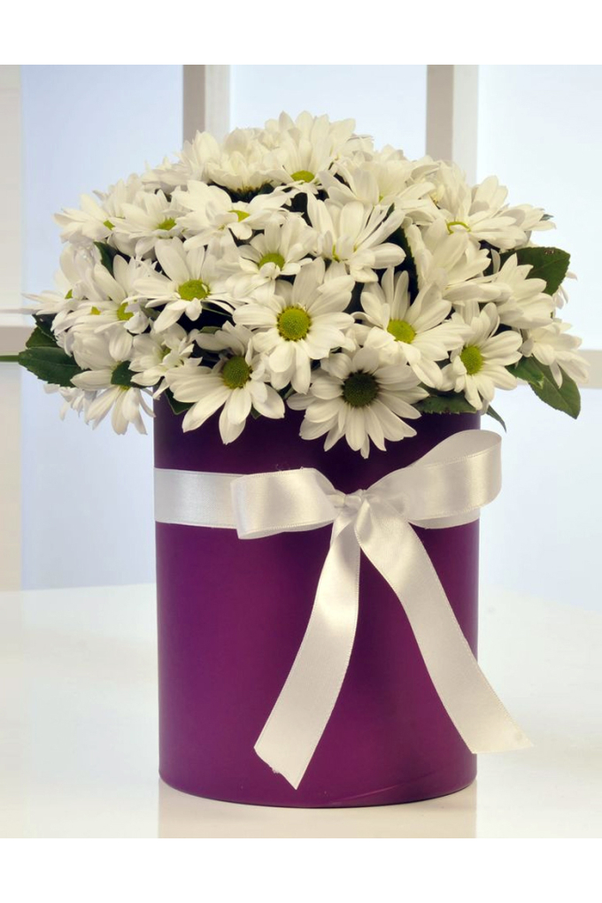 Silindir Kutuda Beyaz Papatyalar