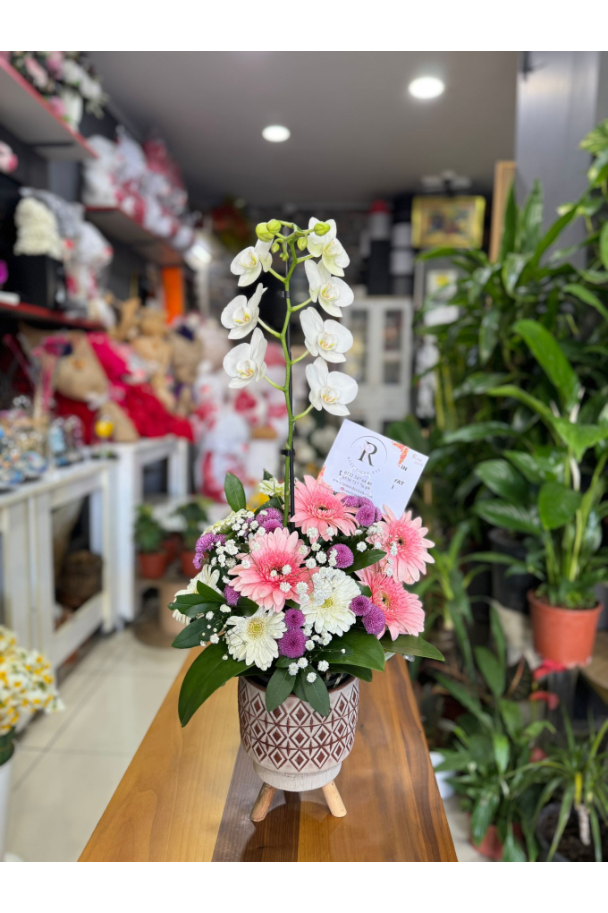 Tekli Orkide Aranjmanı